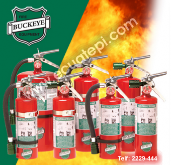 Fire Extinguishers: American Portable Fire Extinguishers:  >FM200 GAS OR HALOTRON 1